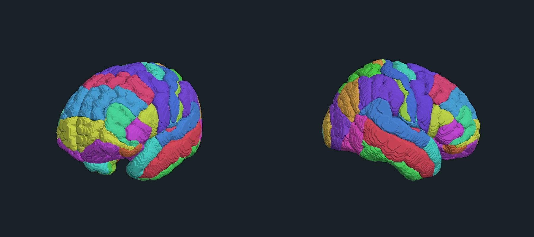Two views of the color-coded Brodmann atlas used in Brain Explorer